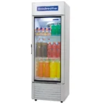 EXHIBIDOR GOODWEATHER GW-250 EF