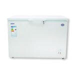 CONGELADOR GOODWEATHER GW-24DTS 200LT