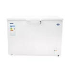 CONGELADOR GOODWEATHER GW-40DT 310LT