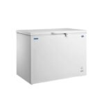 CONGELADOR GOODWEATHER GW-360XT 300 LTS