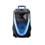 PARLANTE 800W SUNNY