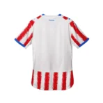 CAMISETA PARAGUAY OFICIAL 2026 PUMA M - Imagen 2